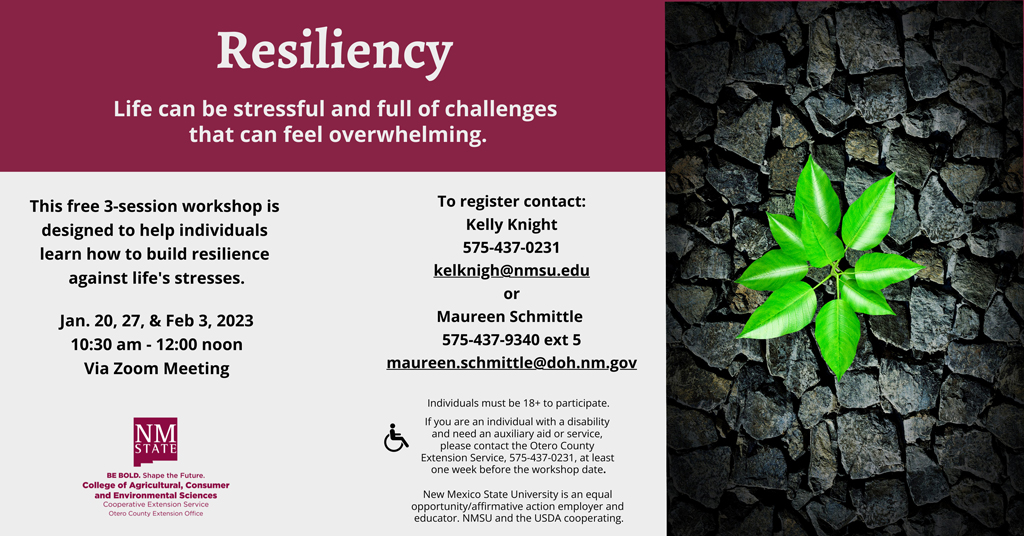 Resiliency workshop